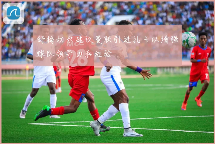 舒梅切尔建议曼联引进扎卡以增强球队领导力和经验